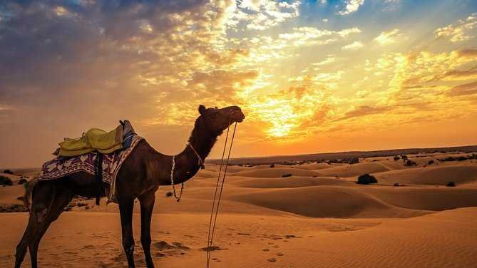 Jaisalmer Desert & City Tour